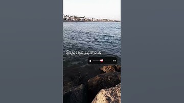 ﴿ إِنَّا كَفَيْنَاكَ الْمُسْتَهْزِئِينَ﴾[ سورة الحجر: 95]