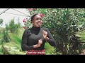 Beatrice milgo  alosun jeiso latest kalenjin gospel song