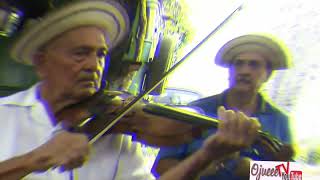 EL MAESTRO ASUNCIÓN QUINTERO EJECUTA UNA PIEZA DE SU PLUMA Y LA MISMA LLEVA POR TÍTULO MELINA