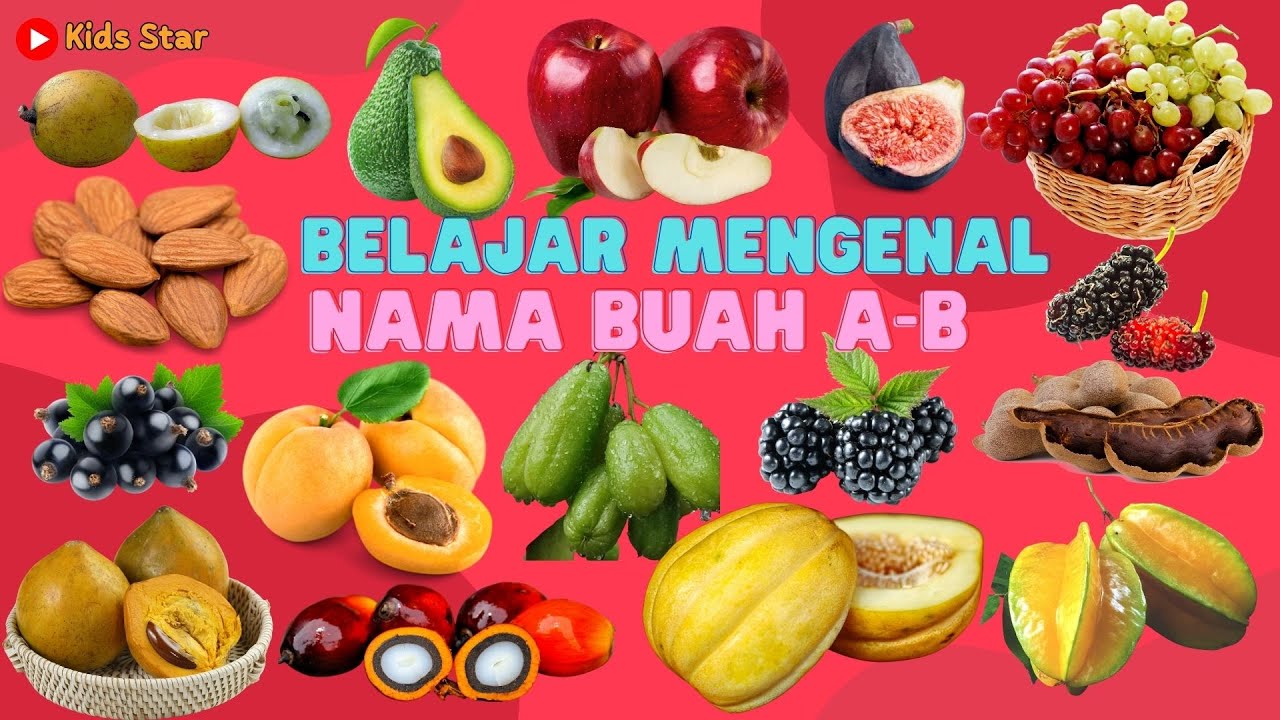 BELAJAR MENGENAL NAMA BUAH AWALAN A-B BAHASA INDONESIA DAN BAHASA INGGRIS | LEARNING FRUITS NAMES