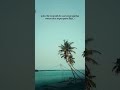 प्रत्येक गोष्ट मनासारखी होत नसते #motivation #marathikavita #love #konkanikavita