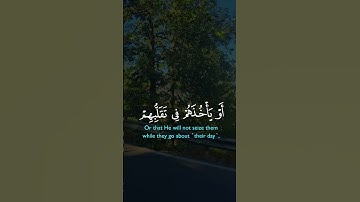 تلاوة عطرة لآيات من كتاب الله #القرآن_الكريم #القرآن #الله #اكسبلور #foryou #viral# #راحة_نفسية