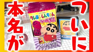 ボーちゃんキター！本名がついに判明！？クレヨンしんちゃん