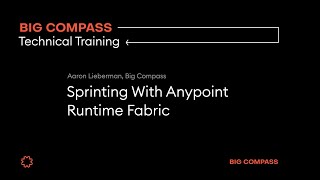Sprinting with Anypoint Runtime Fabric screenshot 2