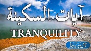 آيات السكينة لدفع القلق والهموم  | القارئ  محمد البـارقي | AYAT OF TRANQUILITY - SAKINAH