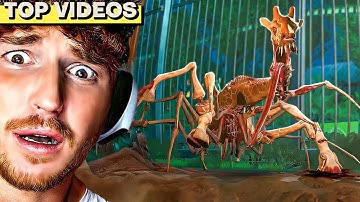Stuck In a ZOO With MUTATED ANIMALS.. (Zoochosis)