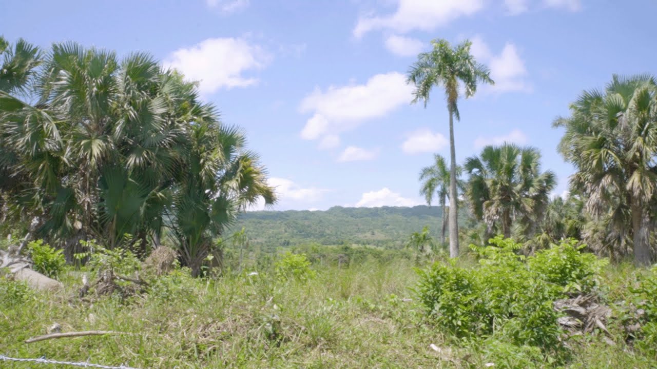 HIKING IN DR 🇩🇴| DOMINICAN REPUBLIC 2024 VLOG | Ep. 4