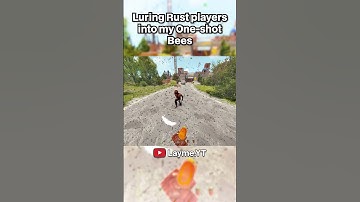 I Lured Rust players into my Bee Trap