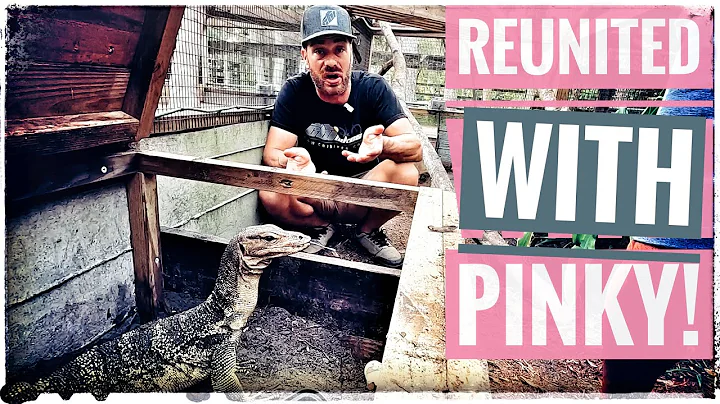 Pinky is THRIVING at Jerry's!