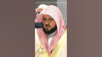 حافظ مكيلي يقرأ القرآن الكريم بصوت رائع. #تلاوات #makkah #kaba #تيك_توك #عبدالله_الجهني