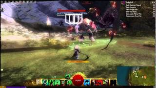 Necromancer Combat With Minions