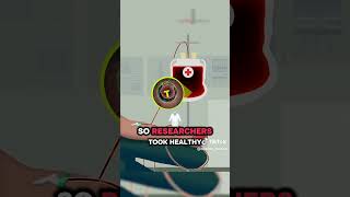 This Cancer Is Not Incurable (Anymore) !!13#cancer #Science #medicine #biology #shorts