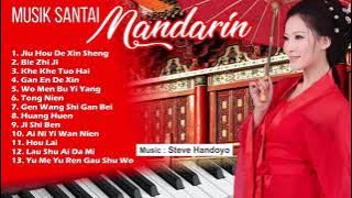 Beautiful relaxing music - Organ mandarin - Traveling _ music by Steve Handoyo