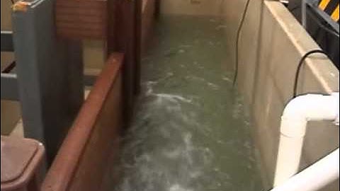 Task Green flood barrier