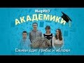 АКАДЕМИКИ _ Миф№3 - Ежики едят грибы и яблоки