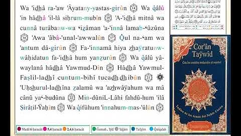 ختمة من مصحف التجويد باللغة الإسبانية الصفحة رقم 446