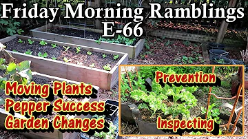 Moving Plants & Changes, Prevention Care for Fall Crops, Peppers & Tour: FM Gardening Ramblings E-66