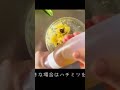 3分300円★栗きんとんは手作りで★無添加で自然の美味しさ