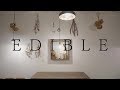 EDIBLE/R Sound Design feat. v flower&初音ミク