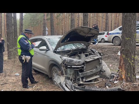 Завёз деву в лес и порвал ей рот