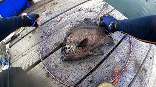大郷屋ミャク釣り穂先で攻める海上釣堀五目釣り