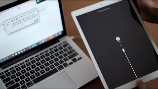 How to Bypass Screen Lock | passcode lock on iPad