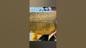 Dây cước câu cá Shimano Technium #fishing #cuoccauca