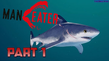 MANEATER Walkthrough - Part 1 - Baby Shark - FULL GAME (This Game is a Crazy)