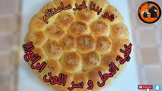 خلية النحل ? و سر اللون الرائع?مع(الشيف أبو رضا)