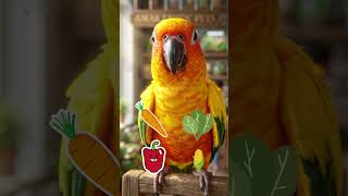 Before buying Sunconure Bird, Must Watch this Video     #sunconure #rajahmundrypets #amarexoticpets