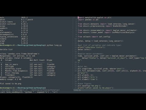 python and vim: how to quickly setup a biostatistics project