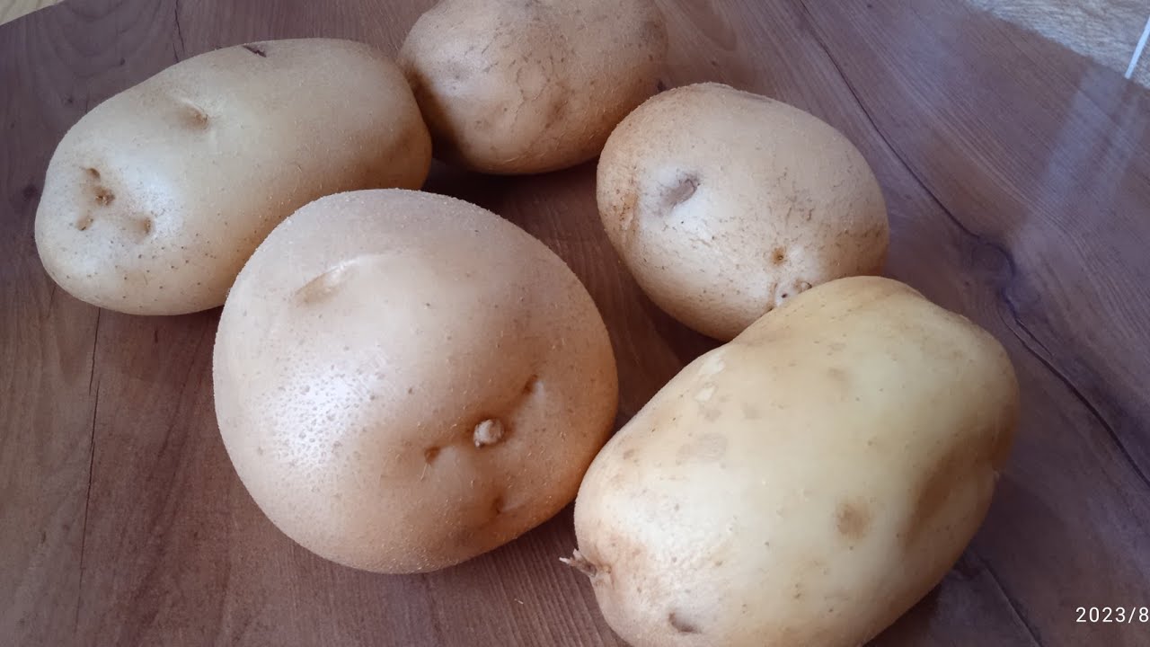 طيبت لدارنا هاذ الطبق قالولي جامي ذقنا كيفو درت بيه حاله😋طبق بالبطاطا بدون  فرن بدون قلي بدون لحم