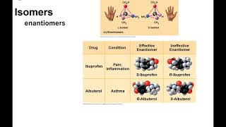 Chapter 3 online lecture macromolecules PPT