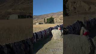 Cardrona Bra Fence #Cardrona