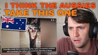 AUSTRALIAN CROCODILE vs AMERICAN ALIGATOR | American Reacts