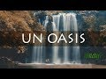 UN OASIS EN COSTA RICA | vlog #19