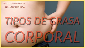 ¿Cuáles son los cinco tipos de grasa abdominal?