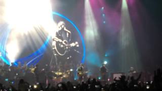 gallagher noel flying birds