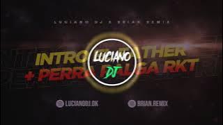 INTRO EL FATHER   PERRA PALGA - RKT - LUCIANO DJ FT BRIAN REMIX