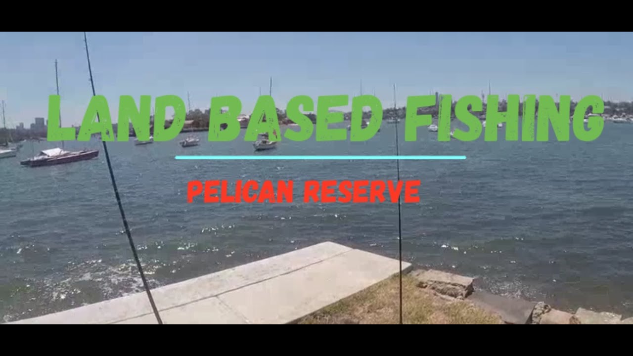 Land Based Fishing - Drummoyne 