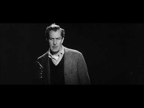 STAR BEAST - RAINBOW COLORED LIFE (OFFICIAL MUSIC VIDEO)