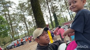 HUTAN PINUS MALINO NAIK KUDA #hutanpinusmalino