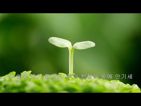 주 예수내가 알기전 (찬송가 90장) + 주의 친절한 팔에 안기세 (찬송가 405장)
