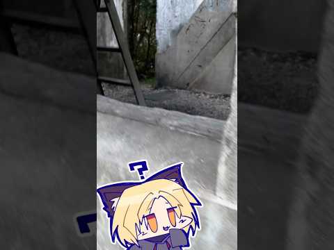 いつも行くところで唯一まだ生き残ってる場所を見つけて興奮する幸村(珍しく動画を撮る←) #廃墟 #廃墟の場所 #廃墟巡り #廃墟探索 #戦争遺跡 #バケモノの子 #冒険 #探検 #自然 #建物 #跡地の配信サムネイル