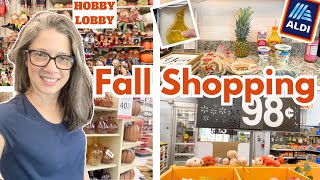 Fall Shopping | New at ALDI | Small Grocery Haul