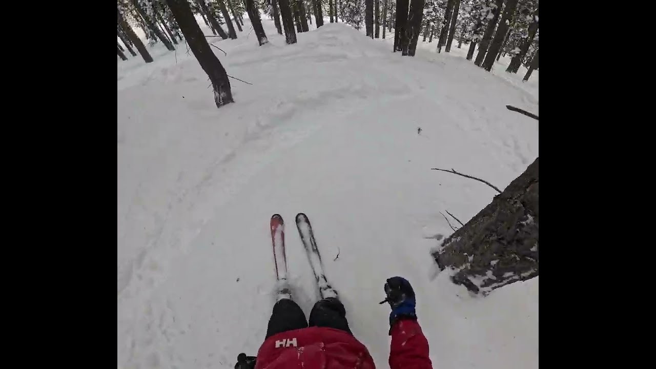 Tree skiing at Northstar