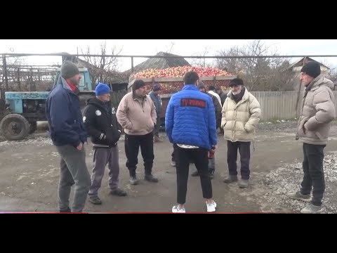 გასხვისებული მიწები დიცში - ვინ როგორ იყენებს, მოსახლეობის პროტესტს