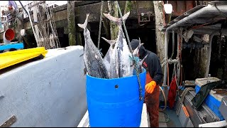 Selling Our Fish!  Stuck in Port Hardy for a week