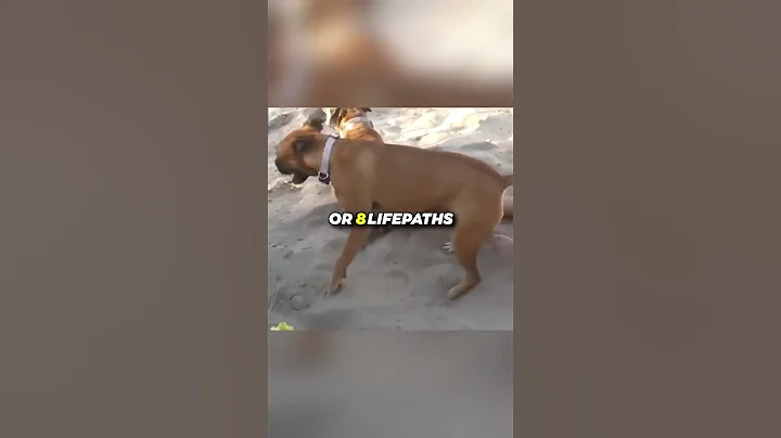 People born 8th 17th 26th Know INSTANT KARMA #numerology #numerologia