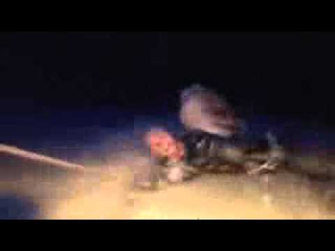 Disney S Frozen Wolf Chase Clip 